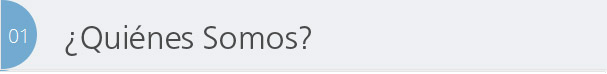Quienes Somos